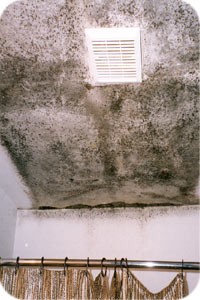 A mould problem