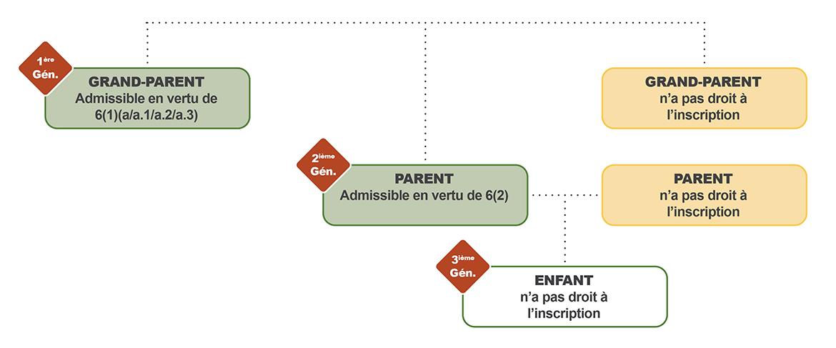 organigramme montrant l'application de l'exclusion après la deuxième génération