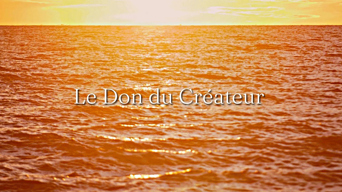 image montrant de l'eau au coucher du soleil avec le titre Le Don du Créateur